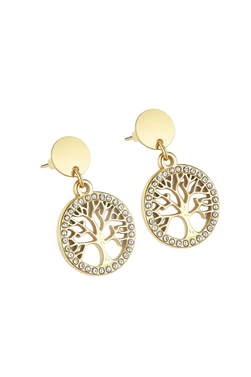 Boucles d'oreille en acier inoxydable